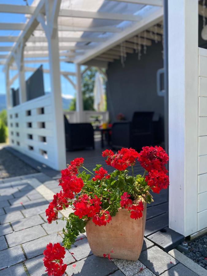 Vila Bryziowka Miłków Exteriér fotografie