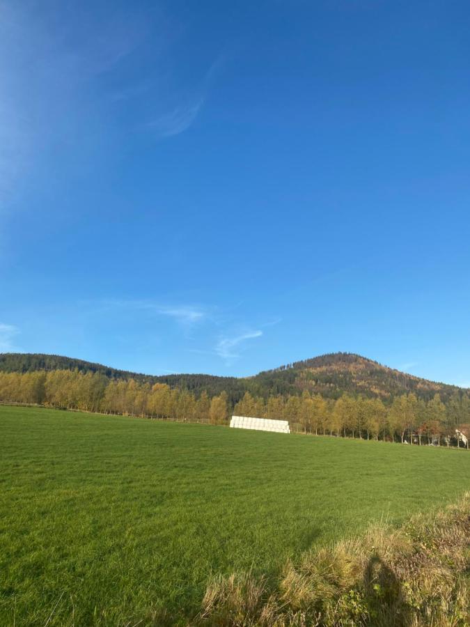 Vila Bryziowka Miłków Exteriér fotografie